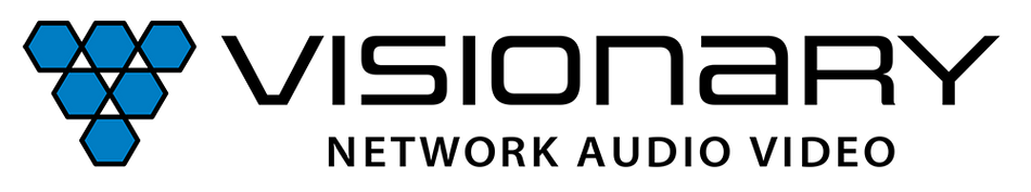 Visionary Logo