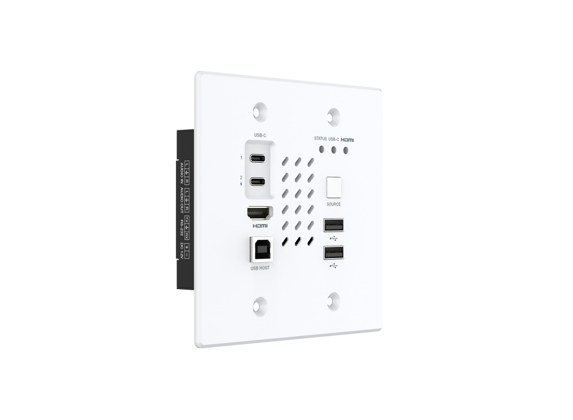 Wall plate with multiple ports on a white background