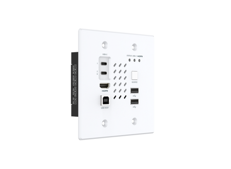 Wall plate with multiple ports on a white background