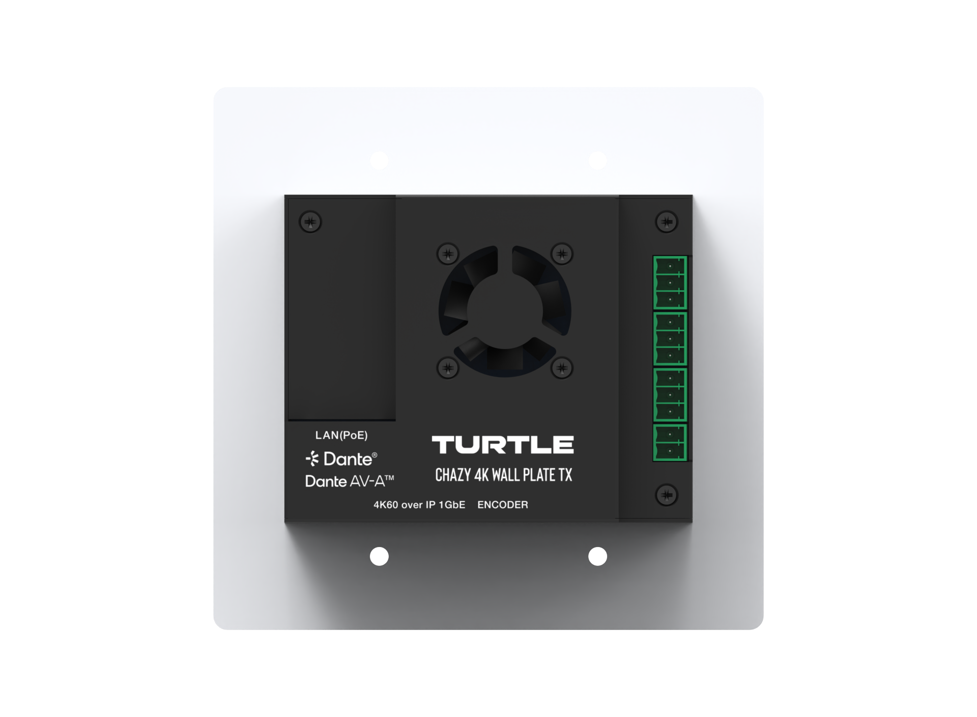 Turtle audio component on a white background