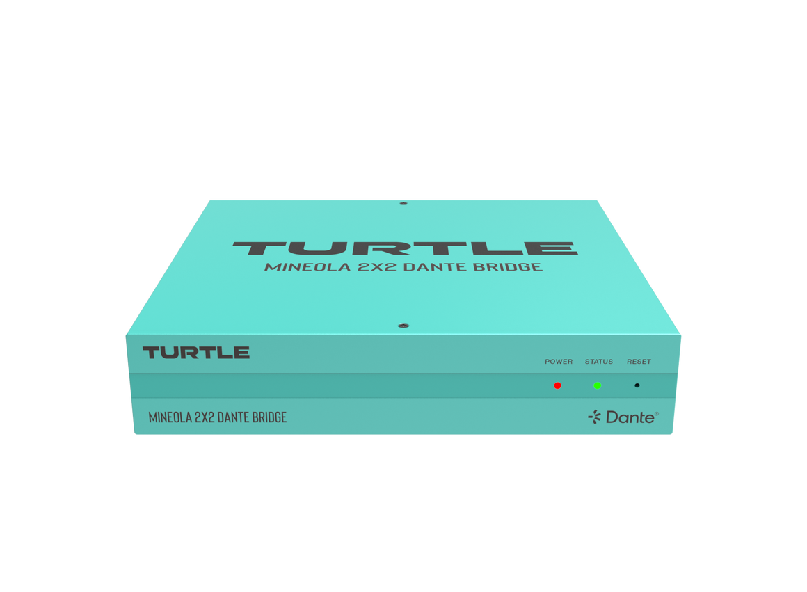 Turquoise box with 'Turtle' branding on a white background