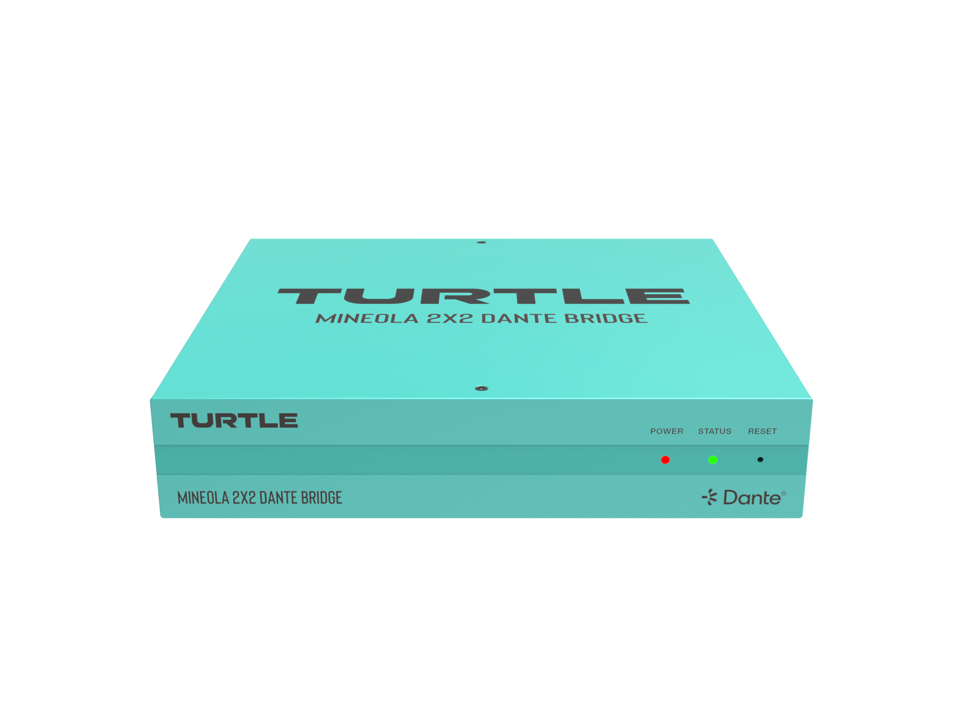 Turquoise box with 'Turtle' branding on a white background