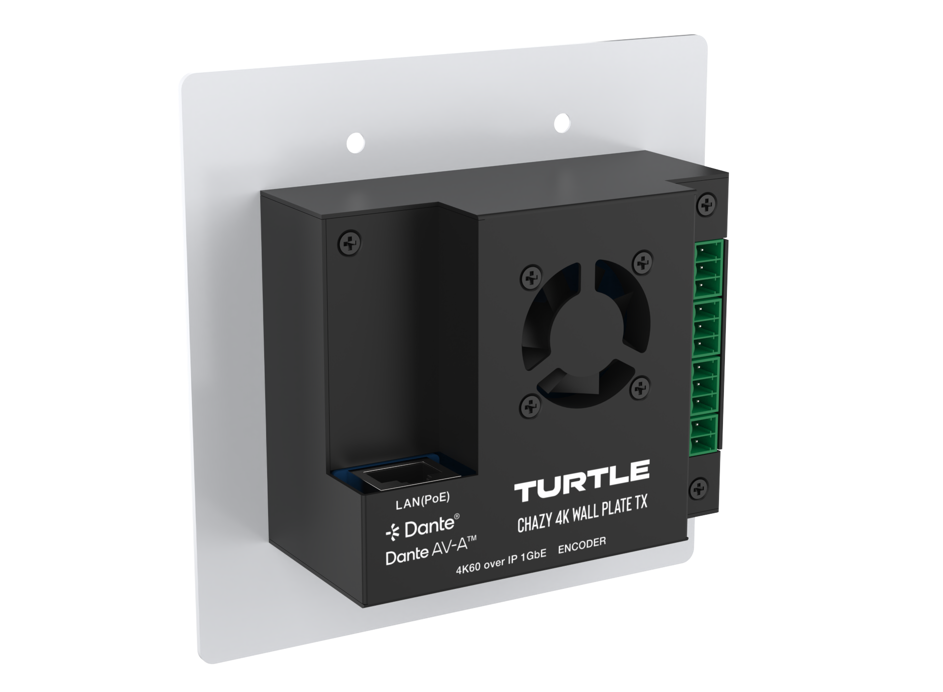 Turtle audio device with 'Dante' and 'LANPUB' branding on a white background